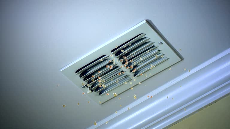 Best Air Duct Sanitizing Services  in Collinsville, CT
