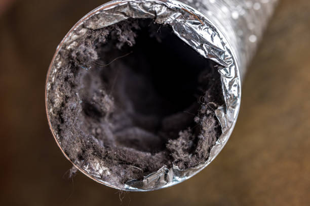 Best HVAC System Cleaning  in Collinsville, CT